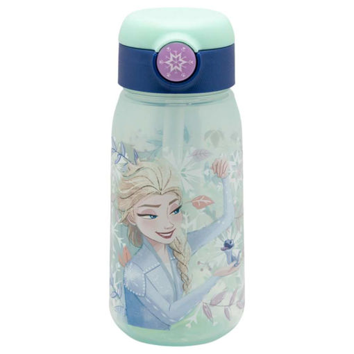 Picture of FROZEN CANTEEN BOTTLE 510ML